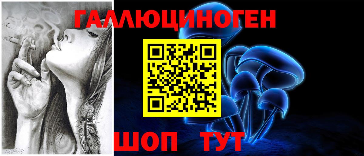 Галлюциногенные грибы мицелий  Вход с VPN  Кизляр 